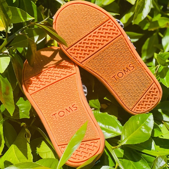 Toddler Zebra Toms - Picture 9 of 9